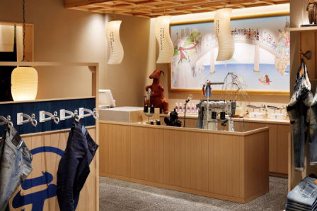 airplants west-coast